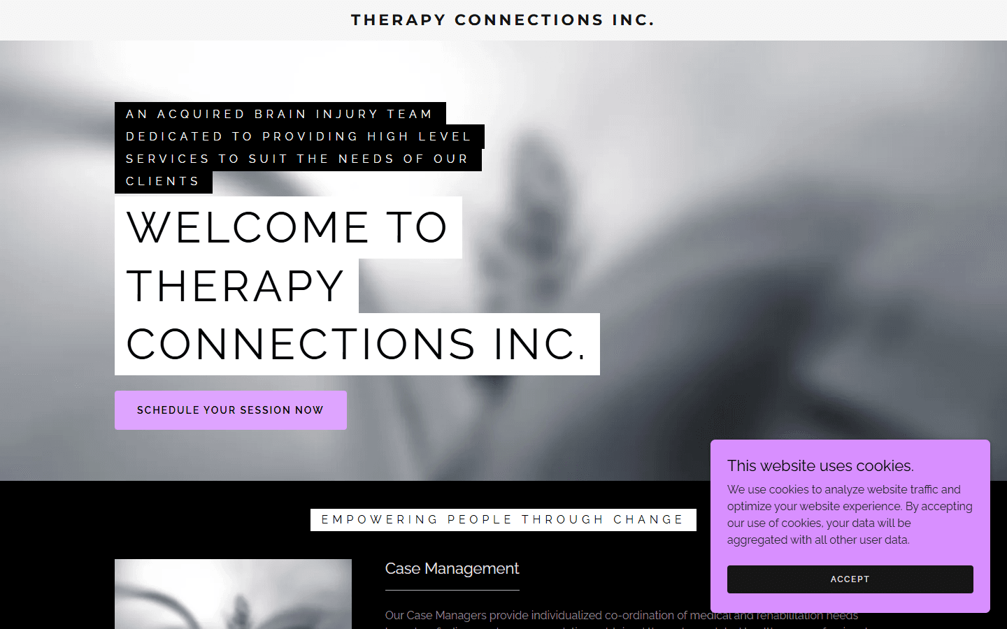 Therapy Connections homepage before the rebuild