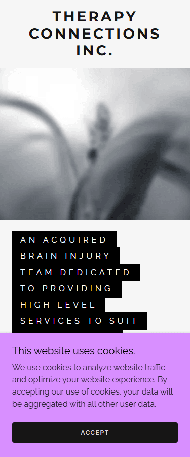 Therapy Connections old site, mobile view, with intrusive cookie banner and unreadable hero